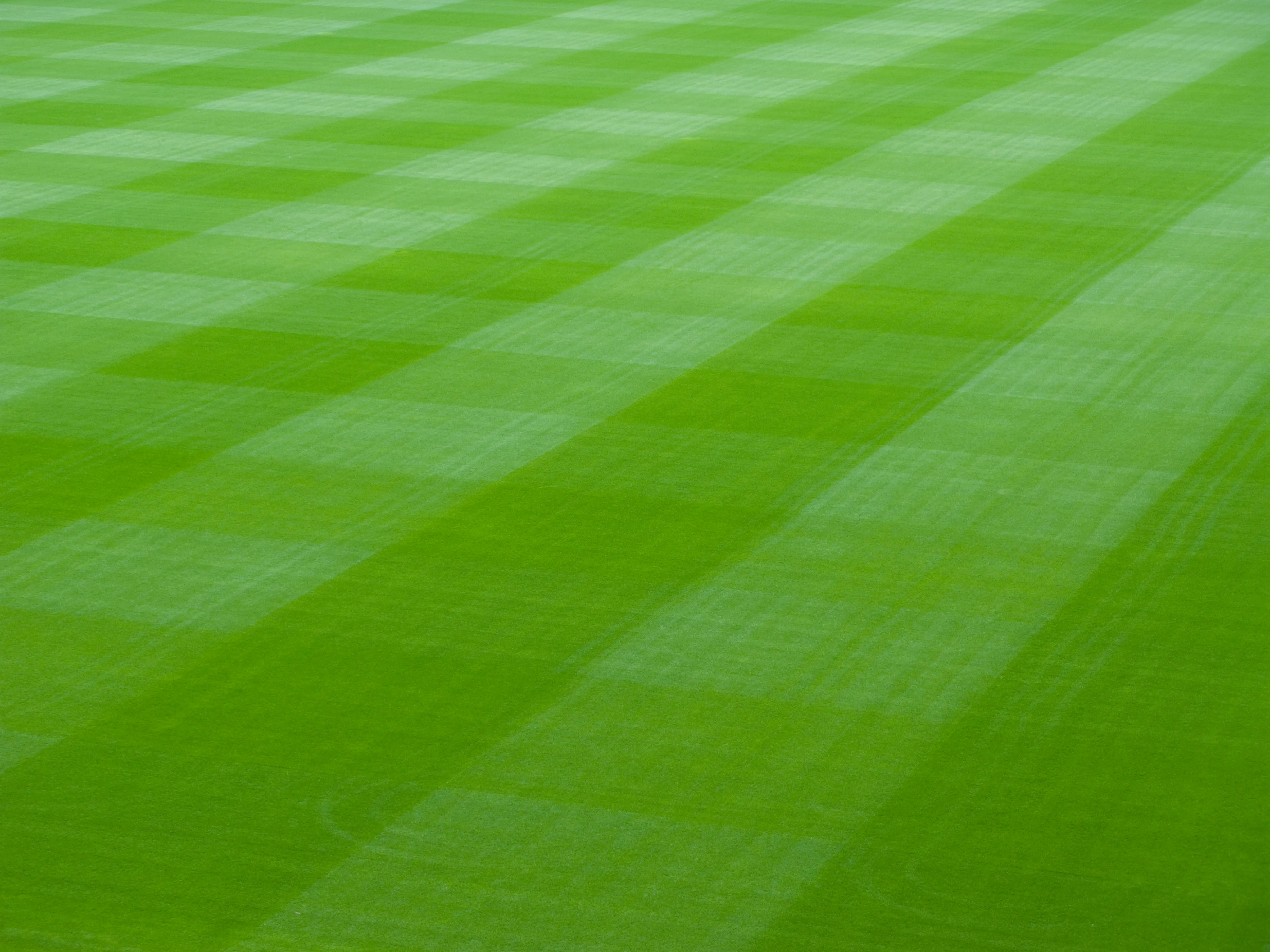 Professional lawn care and landscaping service